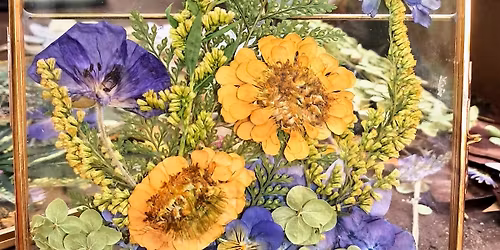 Spring Framed Pressed Flowers Workshop 