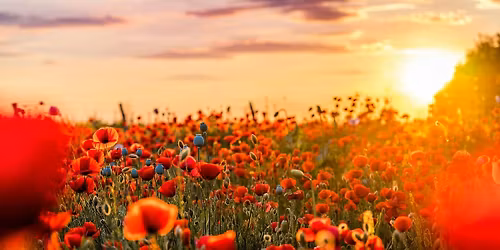 Remembrance Sunday Service at St Paul's Church