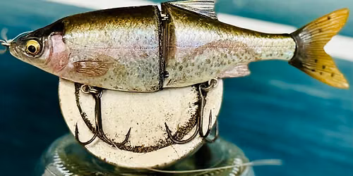 Magnet Fishing for the Wildlife