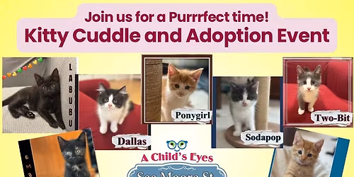 Kitty Cuddle and Adoption Event 