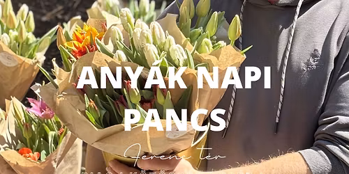 Any\u00e1k napi Pancs Piac I Ferenc t\u00e9r