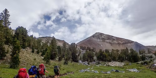 Saturdays in the Santa Monica Mountains 2025 #12 - Griffith Park Peaklets