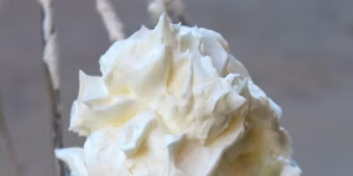 Creating Your Own Tallow!!