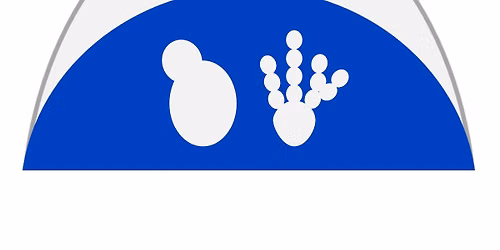 PYFF9VLC