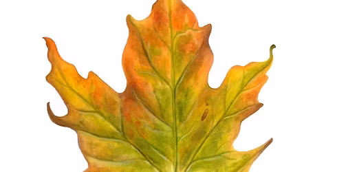 Fall Color Leaf Painting Workshop