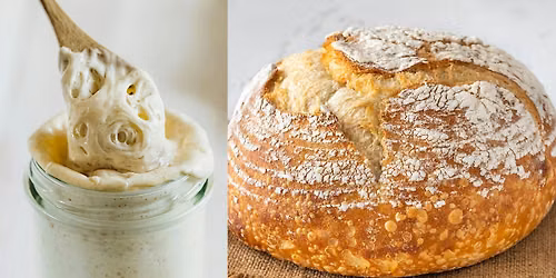 Oregon Trail Sourdough