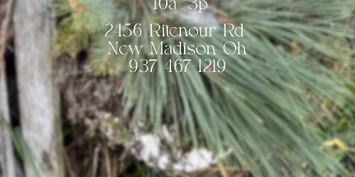 Heather B Leaves Holiday Open Studio