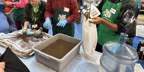 TreeFest - 28th Annual Tree Giveaway!