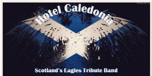 Eagles \ud83e\udd85 Tribute Band