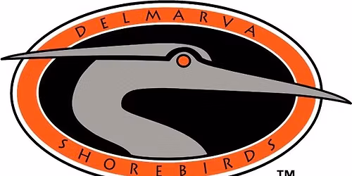 Region 6 - Delmarva Shorebirds School Day Game