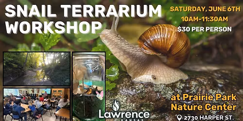 Snail Terrarium Workshop