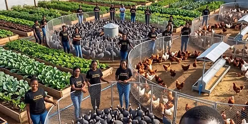 Agriculture is the cheapest course 