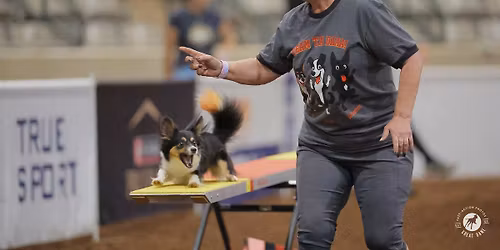 K9SWAT June UKI Trial-2 Hot to Handle 2 Fast to Catch- Leg 1- K9SWAT Summer Heatwave Series 2026