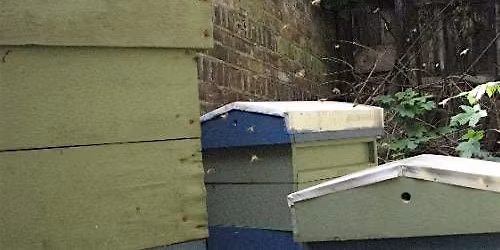 An Introduction to Beekeeping (Brockwell, 2026)