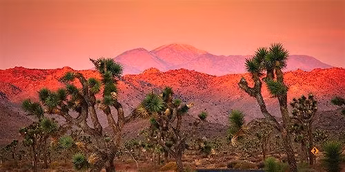 Explore our Local Desert Destinations
