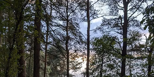 Beginner's Guided Hike - Birchover