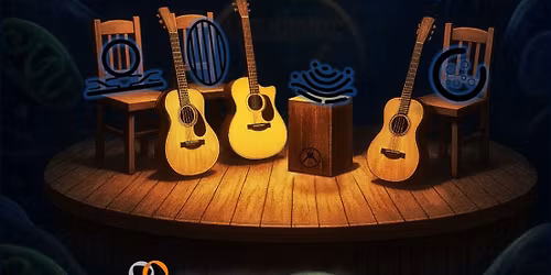 The unplugged concert