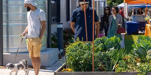 4Roots Farmer's Market