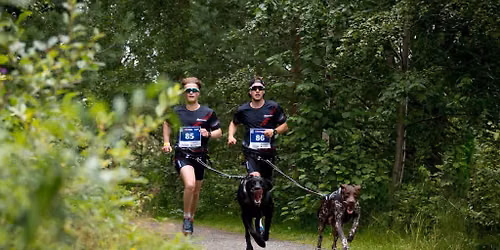 VOM Dogrun Hamar 2026