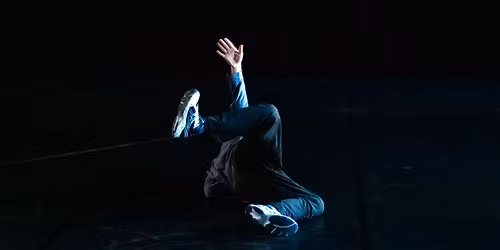 Performance compagnie Virgule et Lula Heldt