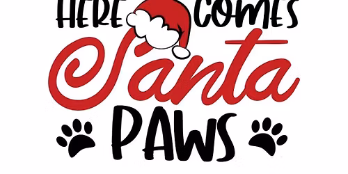 Santa Paws