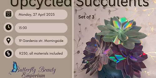Up-cycled succulent workshop