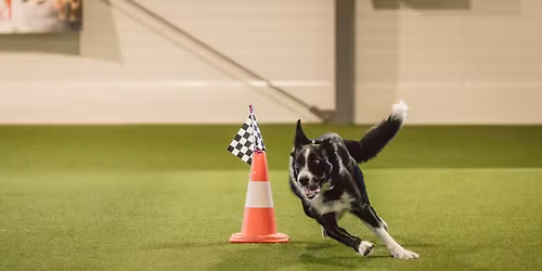 Tr\u00e9ningov\u00e9 neofiko z\u00e1vody OBZ a OB1