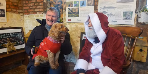 Fundraising Event: Santa Paws