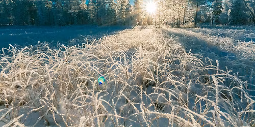 Winter Solstice Workshop: Honoring the Return of the Light with Heather Lindemann & Tracey Lanham