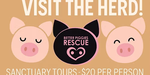 Better Piggies Sanctuary Tour
