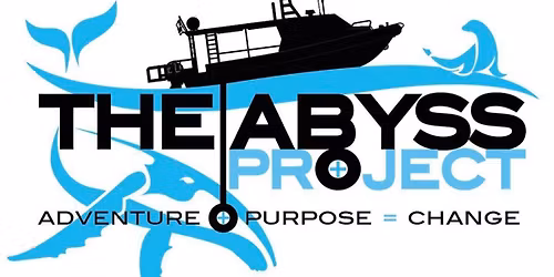 Wollongong Whales & Seals Five Islands Nature Tour