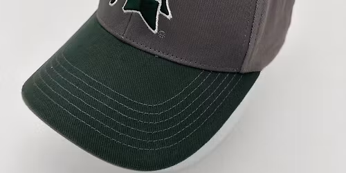 Michigan State Spartans at Texas Longhorns Baseball at UFCU Disch-Falk Field