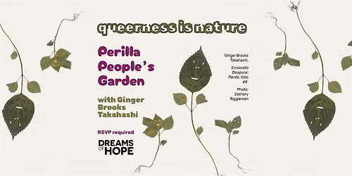 Queerness is Nature - Perilla People's Garden with Ginger Brooks Takahashi