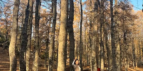 QAMMOUAA EZER Hike - The Golden Forest on Sun, Nov 16, 2025 with DALE CORAZON - LEBANON EXPLORERS