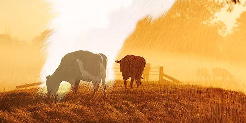 Bankett p\u00e5 Agrovisjon 2025