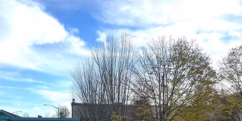 7th Annual Turkey Trot\ud83e\udd83