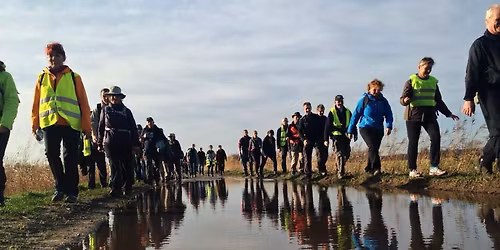 De Zotte 50 van Gheel 2026