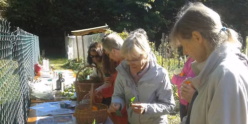 Visite d'une production de plantes m\u00e9dicinales \u00e0 l'Aun\u00e9e des bois, Compote en Bauges