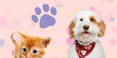 Whispers of the Heart: The Art of Non-Verbal Animal Communication