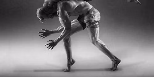 Fayetteville Movement Festival 2026