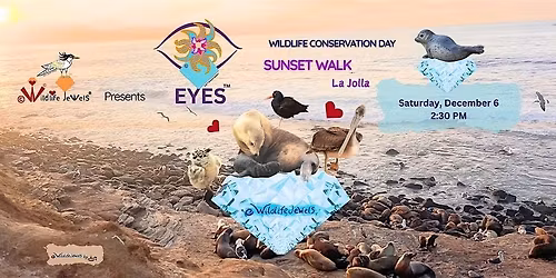 EYES Wildlife Walk at La Jolla Cove \u2014 Wildlife Conservation Day