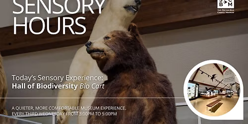 Sensory Hours in August | Hall of Biodiversity, Fossil Cart