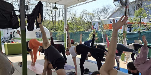 Yoga + Mimosas!