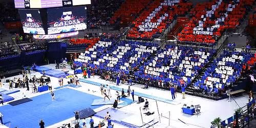 Florida Gators Gymnastics