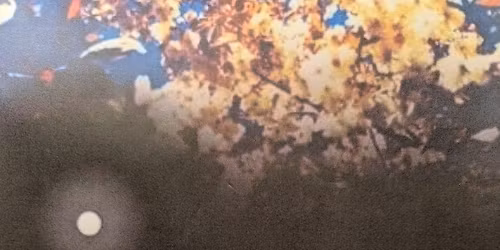 Life With Full Attention 6 week Course