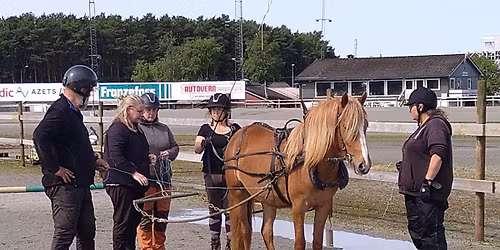Innkjøringskurs med Berit Lea