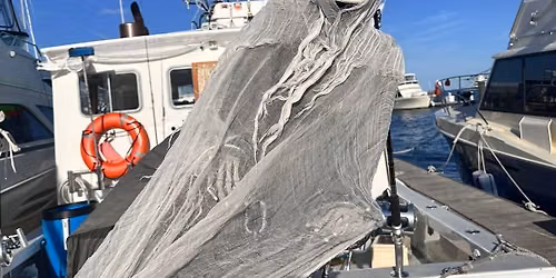 Halloween Boat Parade