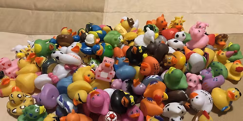 First Annual Duck Chuck