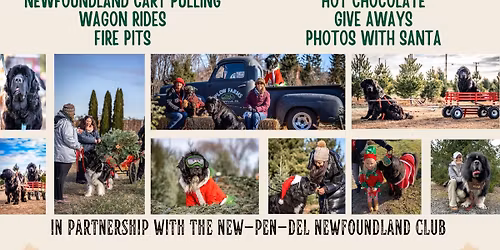 Plow Farms Newfoundland Day