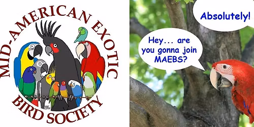 MAEBS annual 33rd bird fair